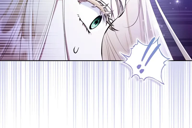 Tôi Là Siêu Trộm, Lại Đi Kết Hôn Giả Với Thanh Tra Chapter 1 - 104