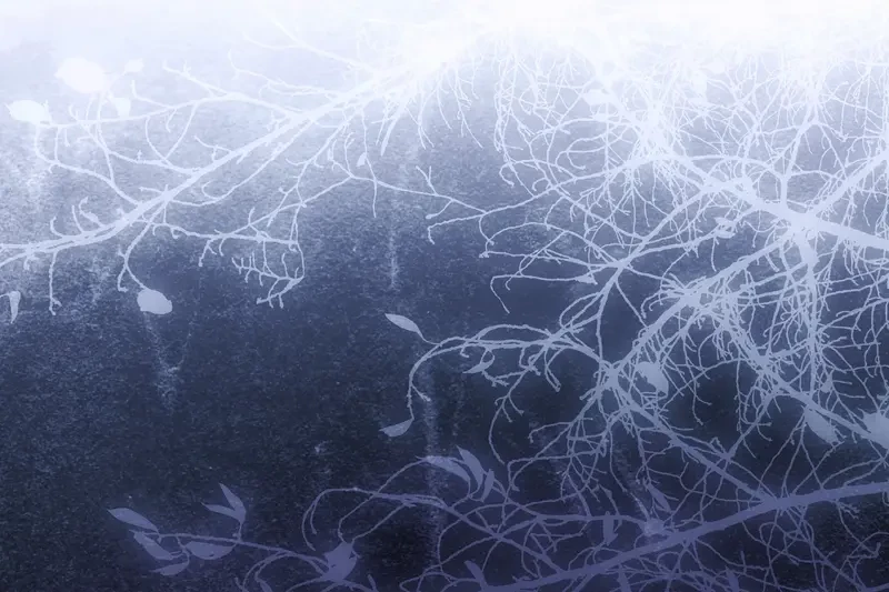 Tôi Là Siêu Trộm, Lại Đi Kết Hôn Giả Với Thanh Tra Chapter 1 - 153