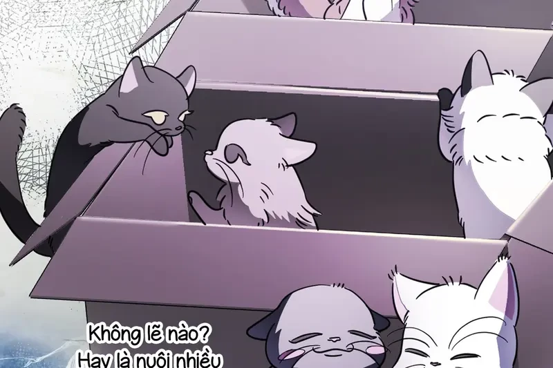 Tôi Là Siêu Trộm, Lại Đi Kết Hôn Giả Với Thanh Tra Chapter 3 - 267