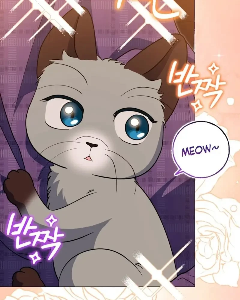 Tôi Là Siêu Trộm, Lại Đi Kết Hôn Giả Với Thanh Tra Chapter 8 - 82