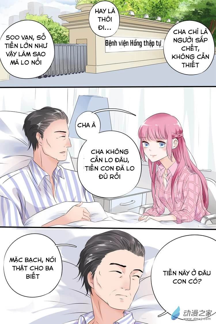 Đế Thiếu Đừng Mạnh Quá Chapter 2 - 5