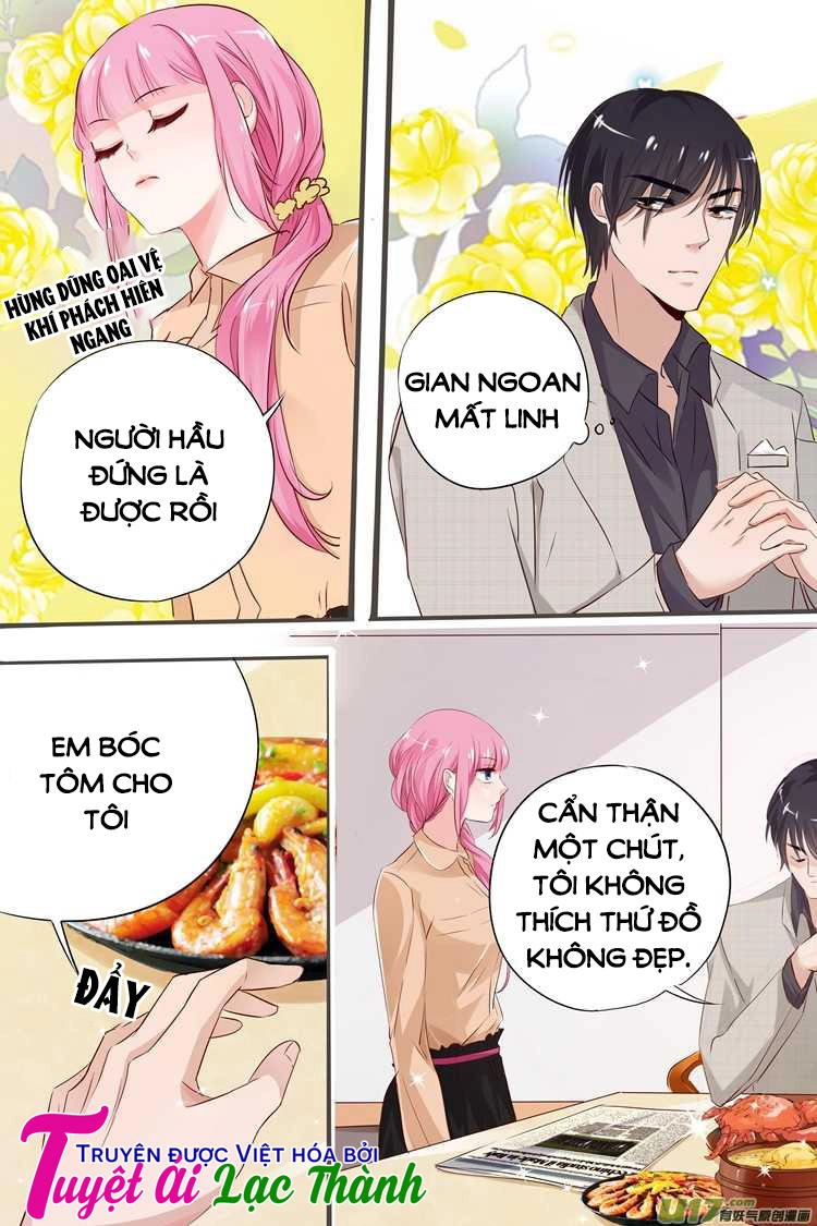 Đế Thiếu Đừng Mạnh Quá Chapter 21 - 5