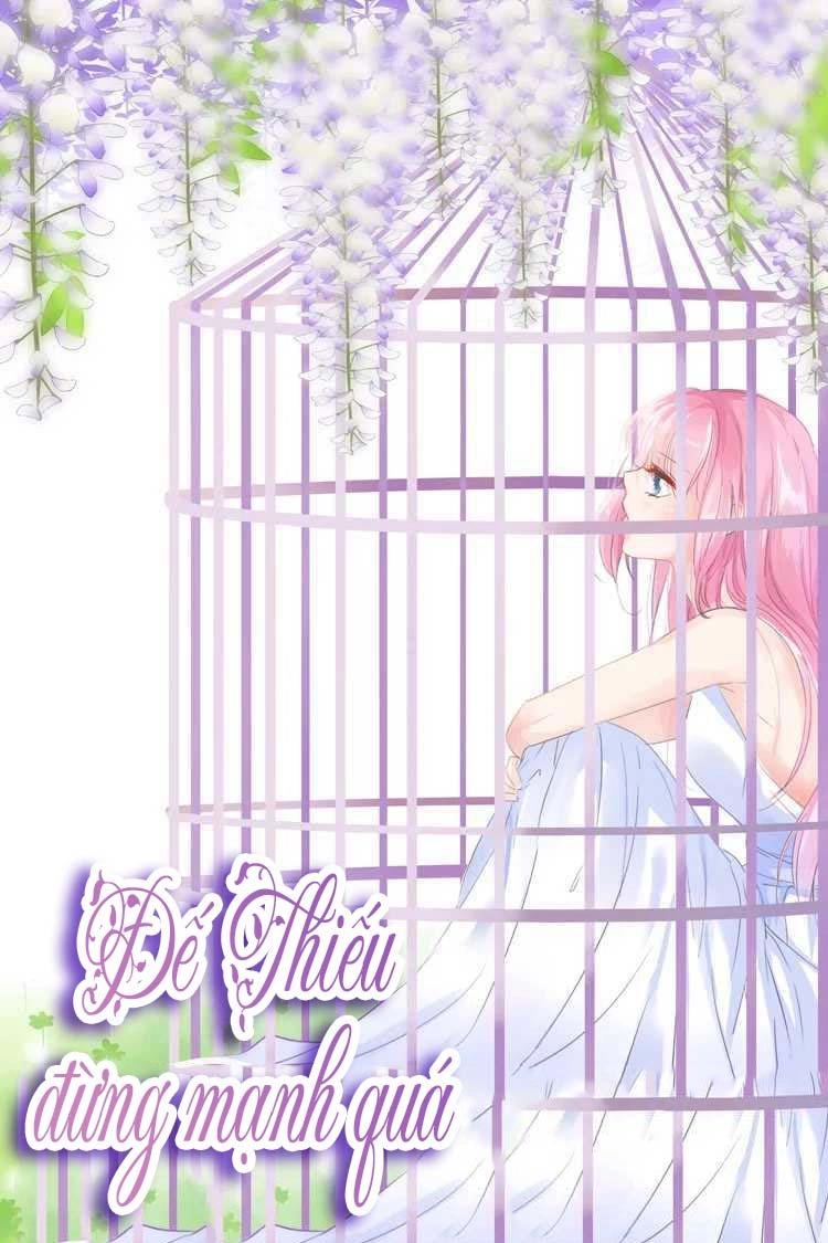 Đế Thiếu Đừng Mạnh Quá Chapter 29 - 1