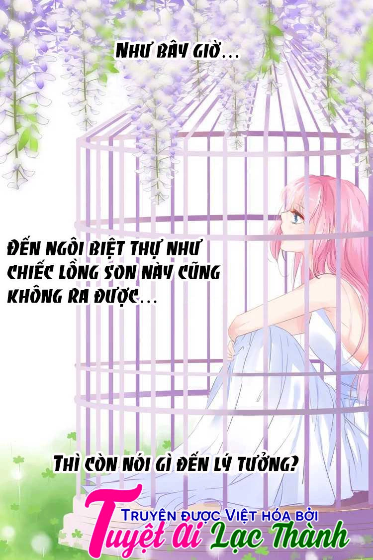 Đế Thiếu Đừng Mạnh Quá Chapter 29 - 8