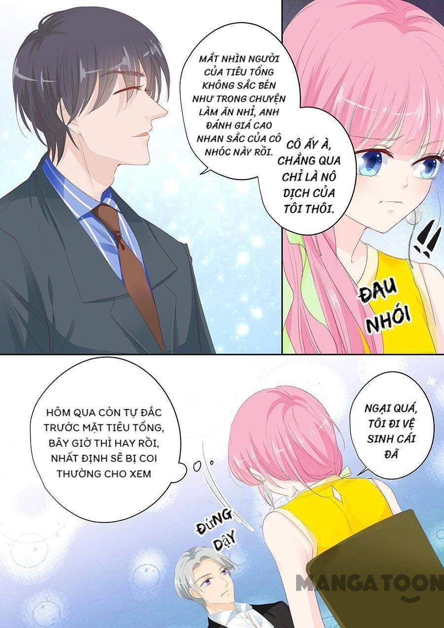 Đế Thiếu Đừng Mạnh Quá Chapter 147 - 7