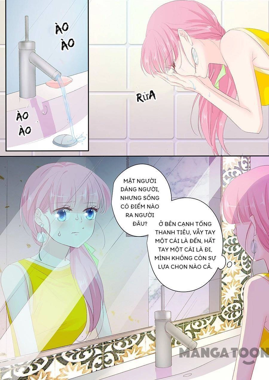 Đế Thiếu Đừng Mạnh Quá Chapter 147 - 8