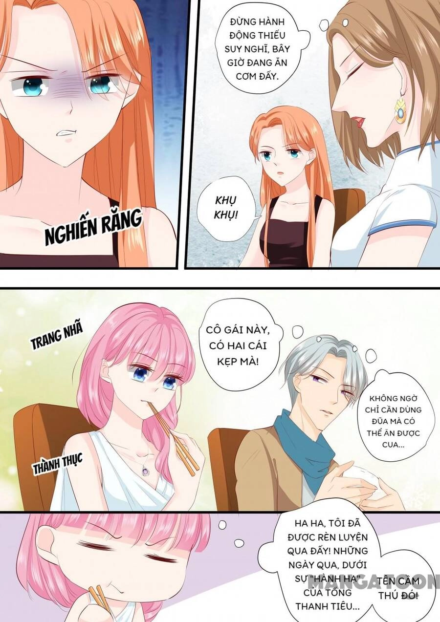 Đế Thiếu Đừng Mạnh Quá Chapter 213 - 7