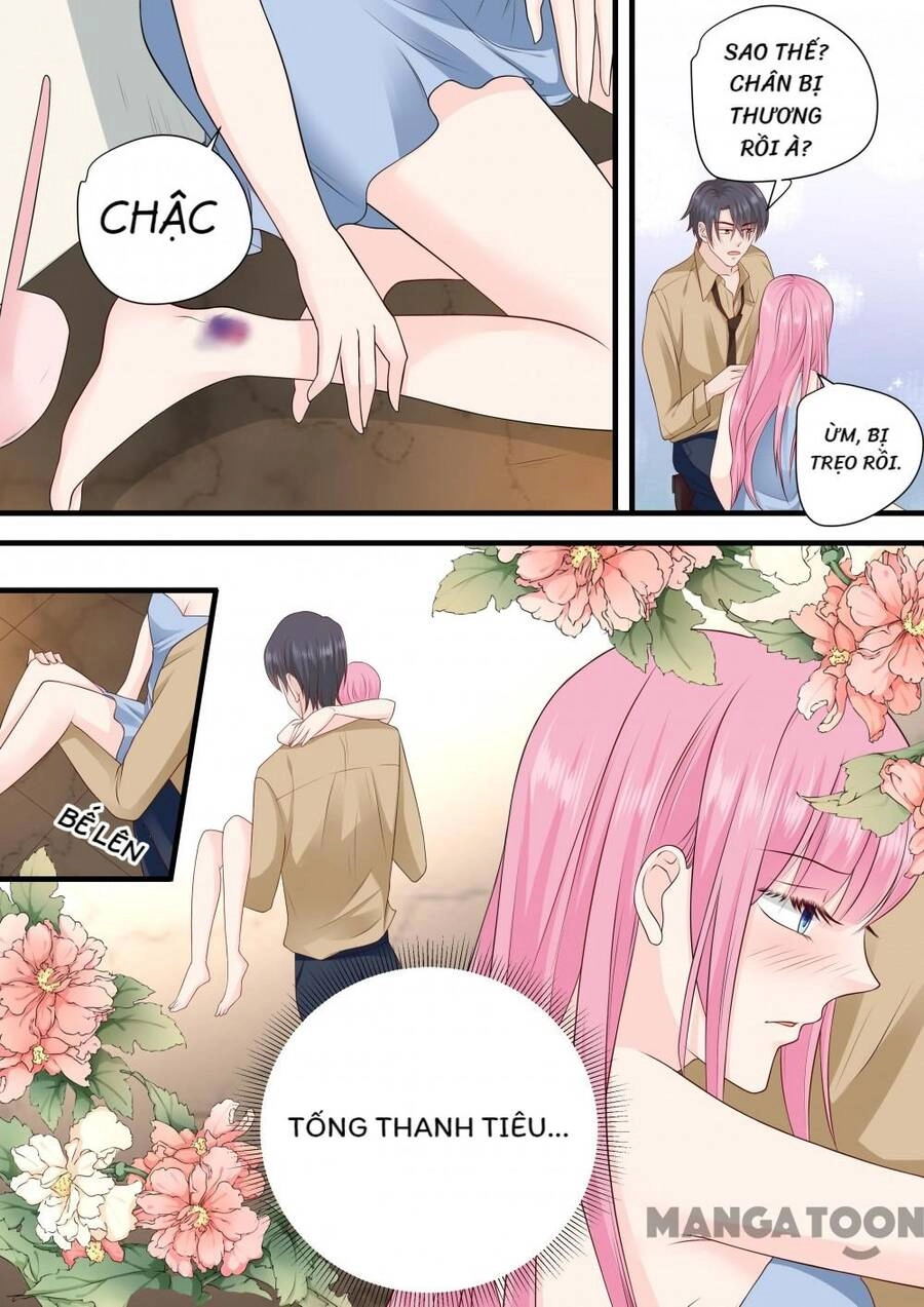 Đế Thiếu Đừng Mạnh Quá Chapter 241 - 8