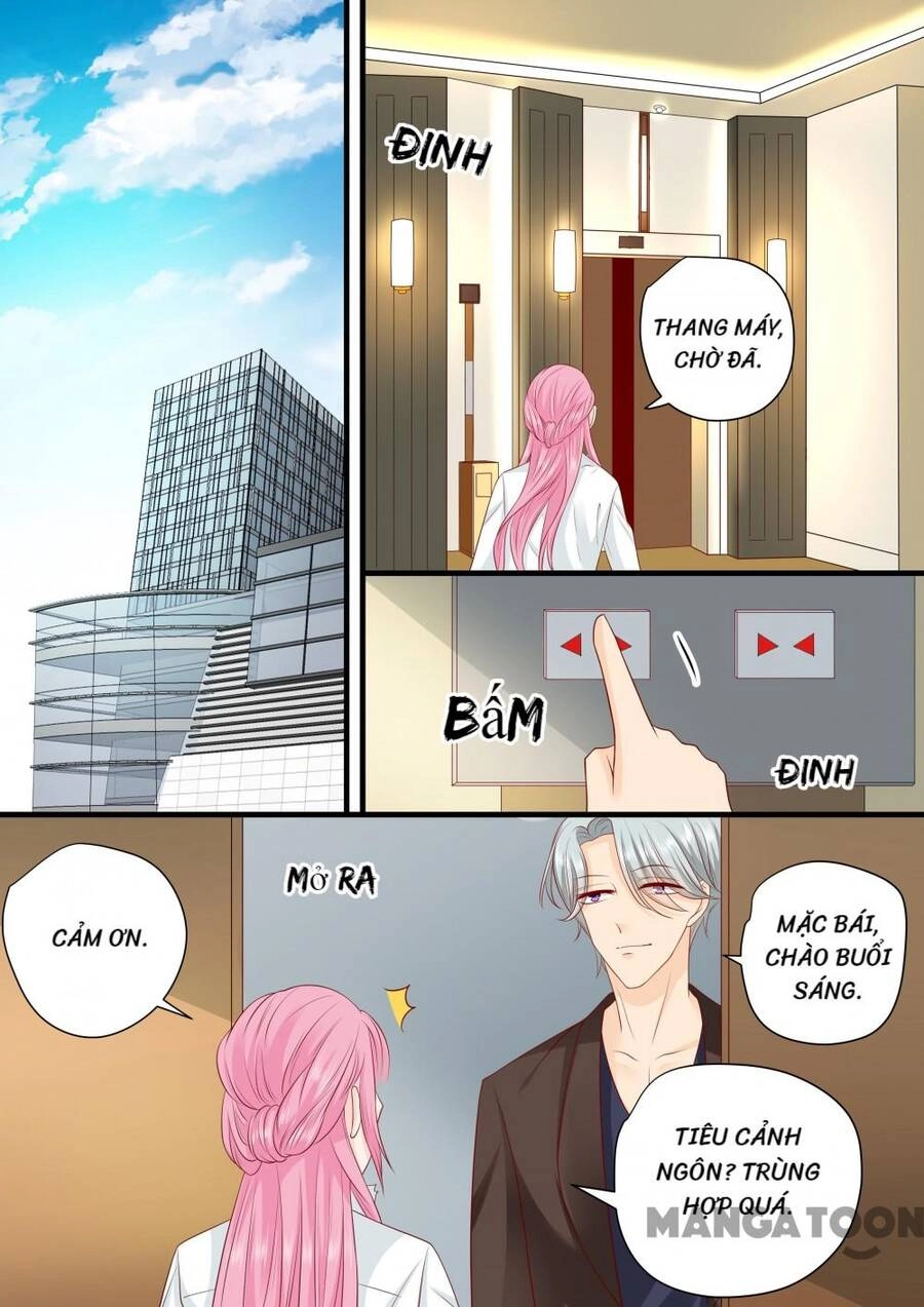 Đế Thiếu Đừng Mạnh Quá Chapter 242 - 7