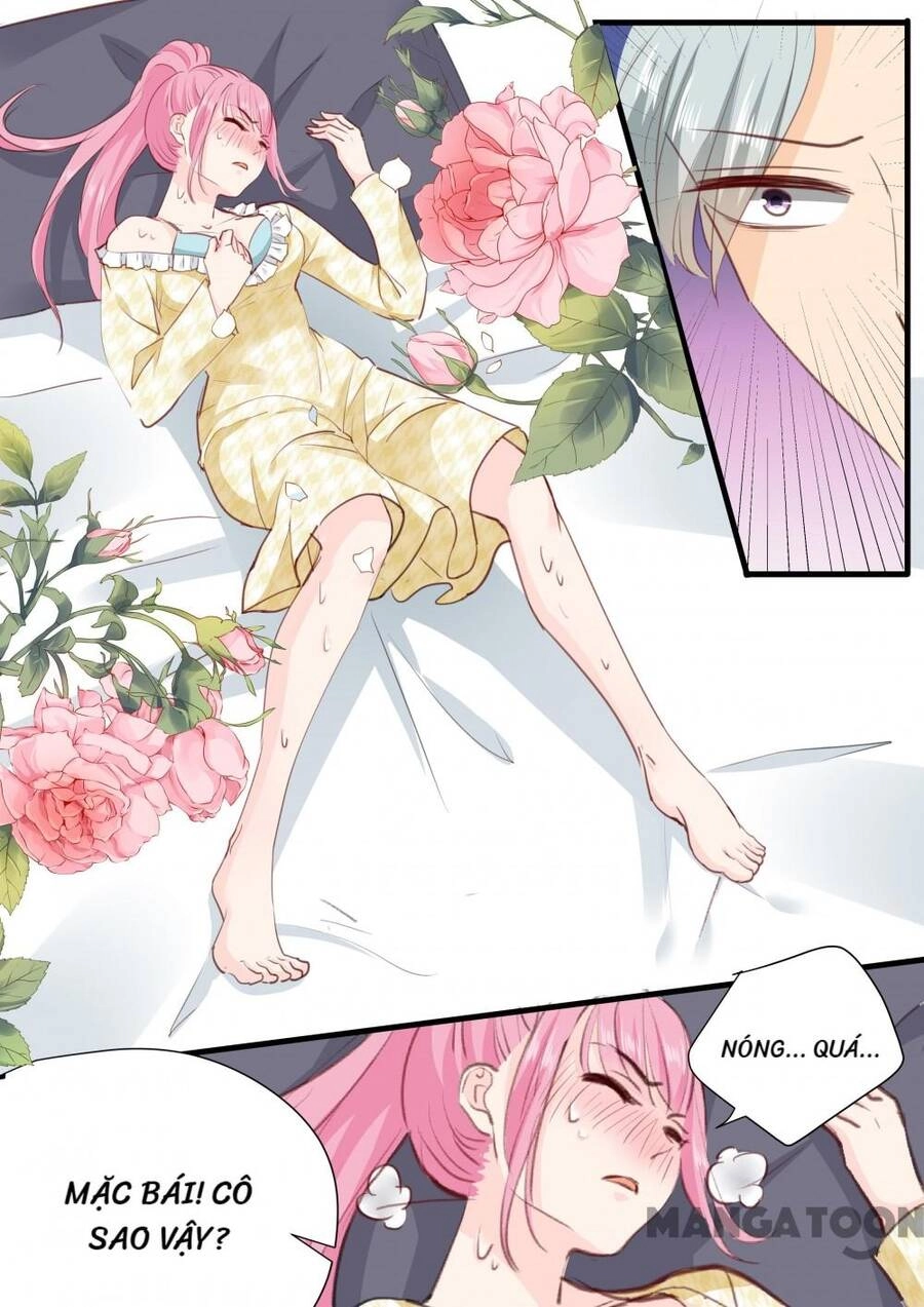 Đế Thiếu Đừng Mạnh Quá Chapter 267 - 5