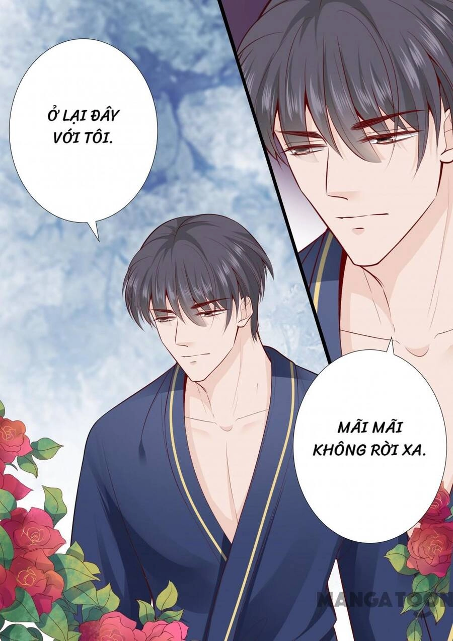 Đế Thiếu Đừng Mạnh Quá Chapter 274 - 8