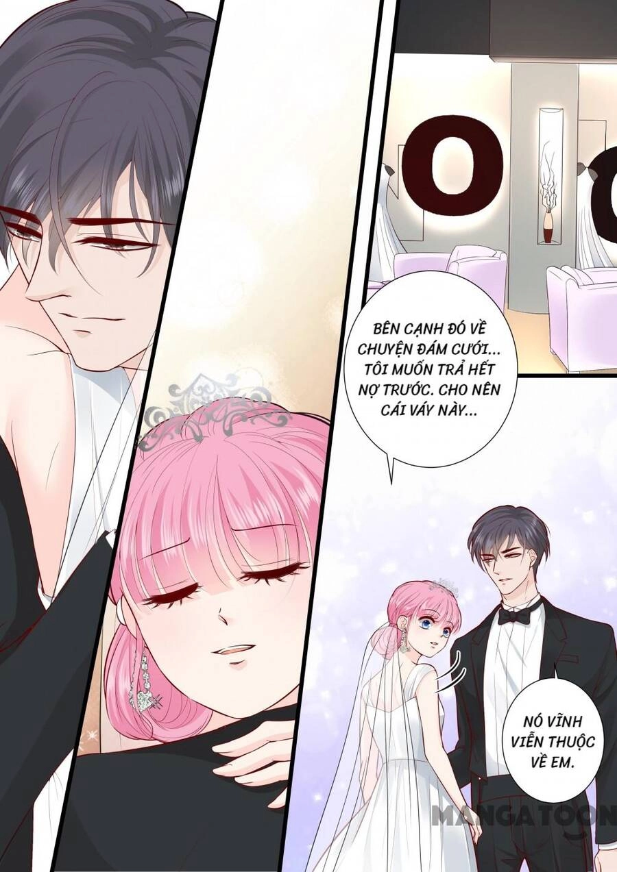 Đế Thiếu Đừng Mạnh Quá Chapter 289 - 6