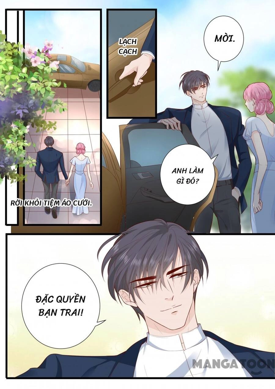 Đế Thiếu Đừng Mạnh Quá Chapter 289 - 8