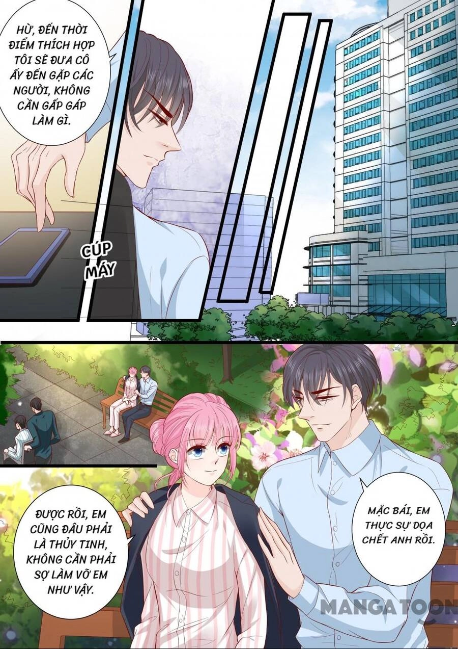 Đế Thiếu Đừng Mạnh Quá Chapter 299 - 2