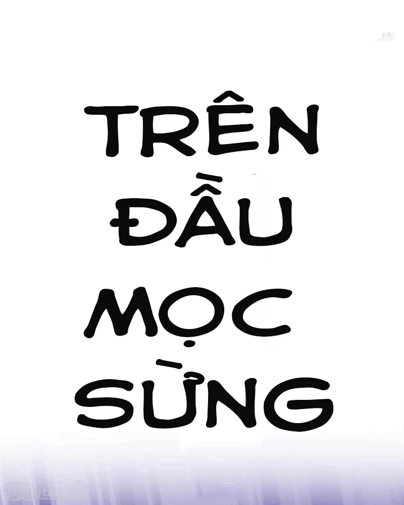 Con rể của các vị thần Chapter 2 - 29