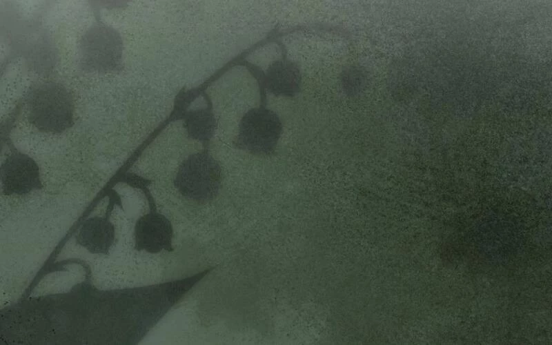 Trở Thành Huấn Luyện Viên Luyện Rồng Độc Quyền Cho Nhà Công Tước Chapter 2 - 42