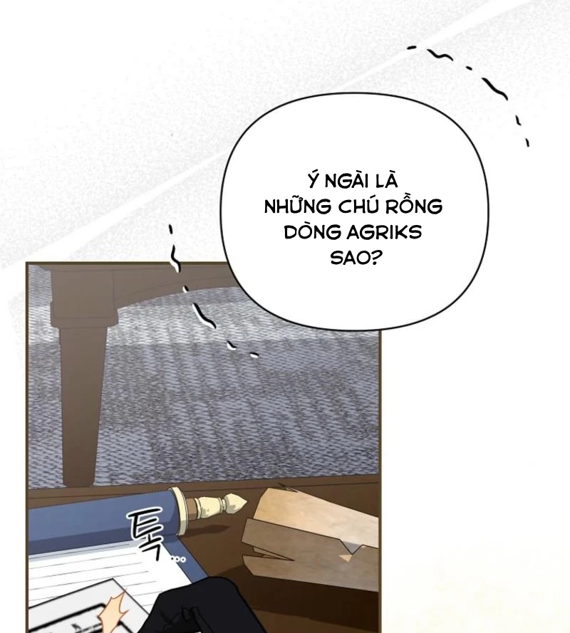 Trở Thành Huấn Luyện Viên Luyện Rồng Độc Quyền Cho Nhà Công Tước Chapter 3 - 15