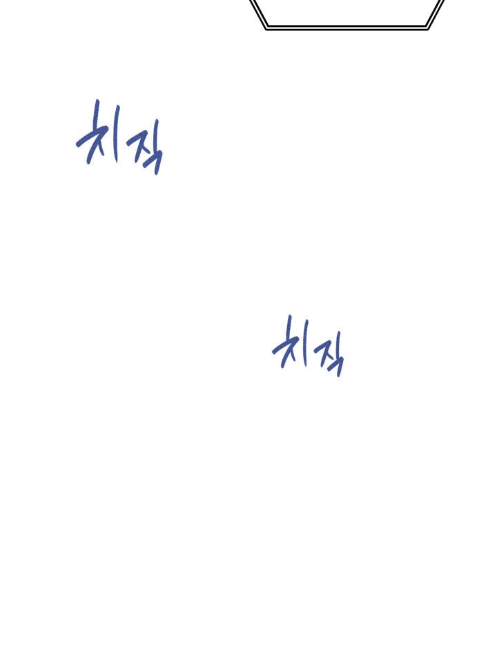 Tôi Trở Lại Thăng Cấp Một Mình Chapter 1 - 95