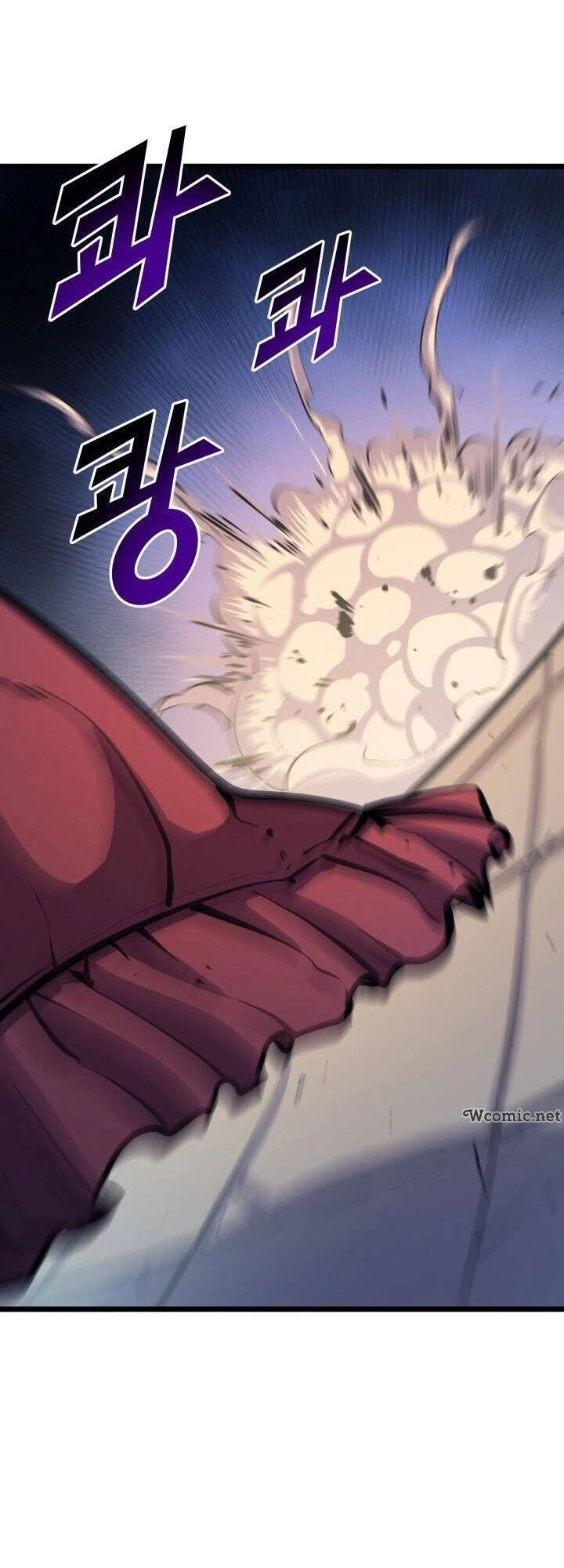 Tôi Trở Lại Thăng Cấp Một Mình Chapter 75 - 48