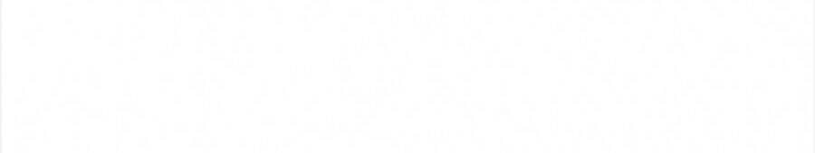 Tôi Trở Lại Thăng Cấp Một Mình Chapter 81 - 80