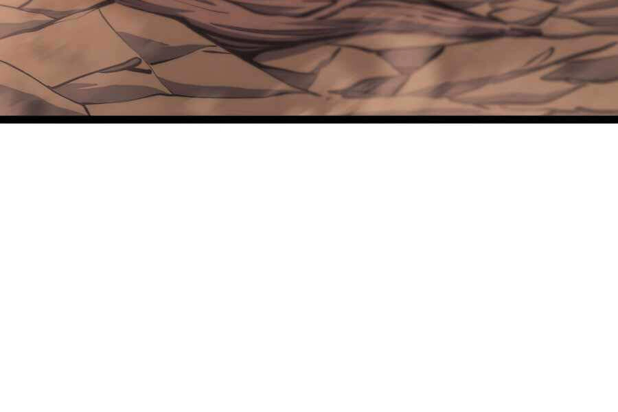 Tôi Trở Lại Thăng Cấp Một Mình Chapter 110 - 204