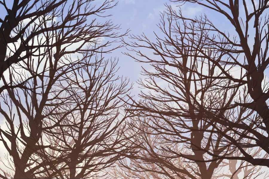 Tôi Trở Lại Thăng Cấp Một Mình Chapter 111 - 110