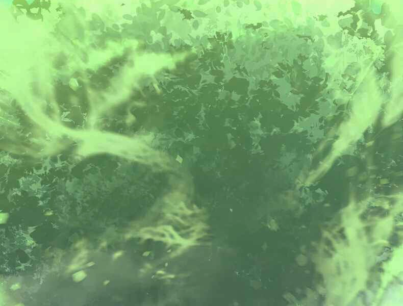 Tôi Trở Lại Thăng Cấp Một Mình Chapter 112 - 195