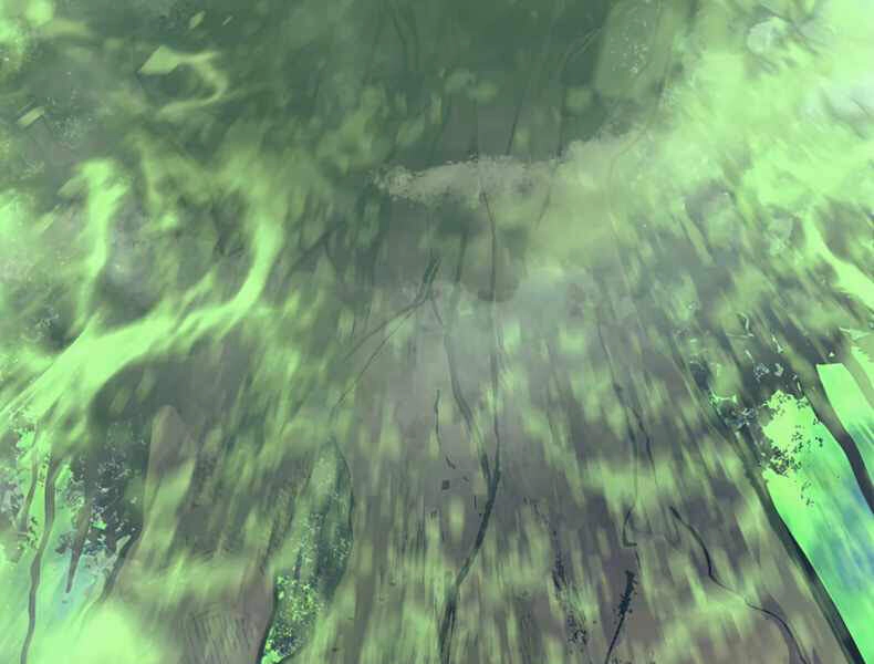 Tôi Trở Lại Thăng Cấp Một Mình Chapter 112 - 196