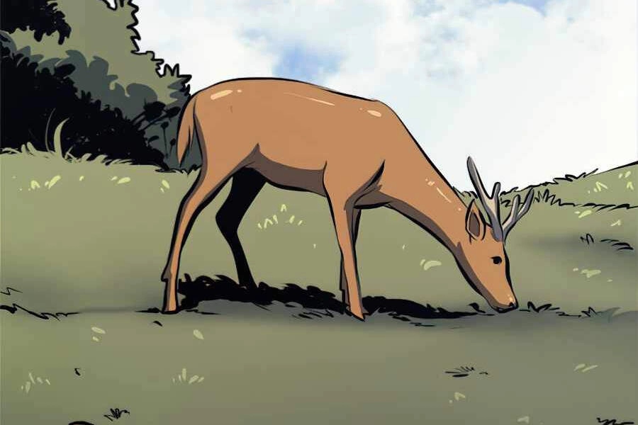 Tôi Trở Lại Thăng Cấp Một Mình Chapter 117 - 4