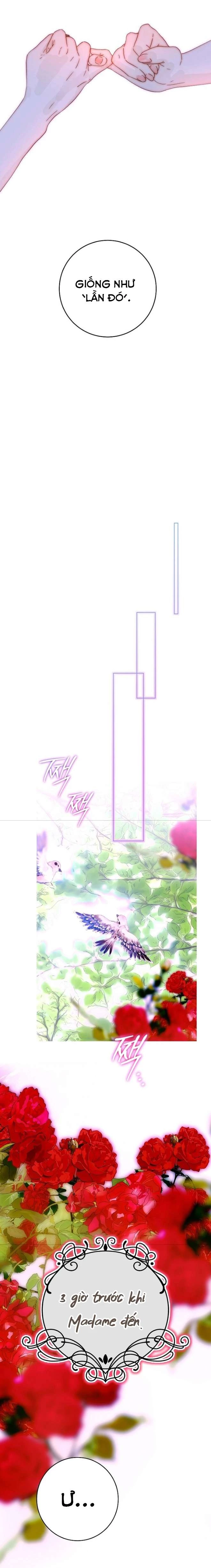 Những Mảnh Vỡ Của Giấc Mộng Thủy Tinh Chapter 26 - 17