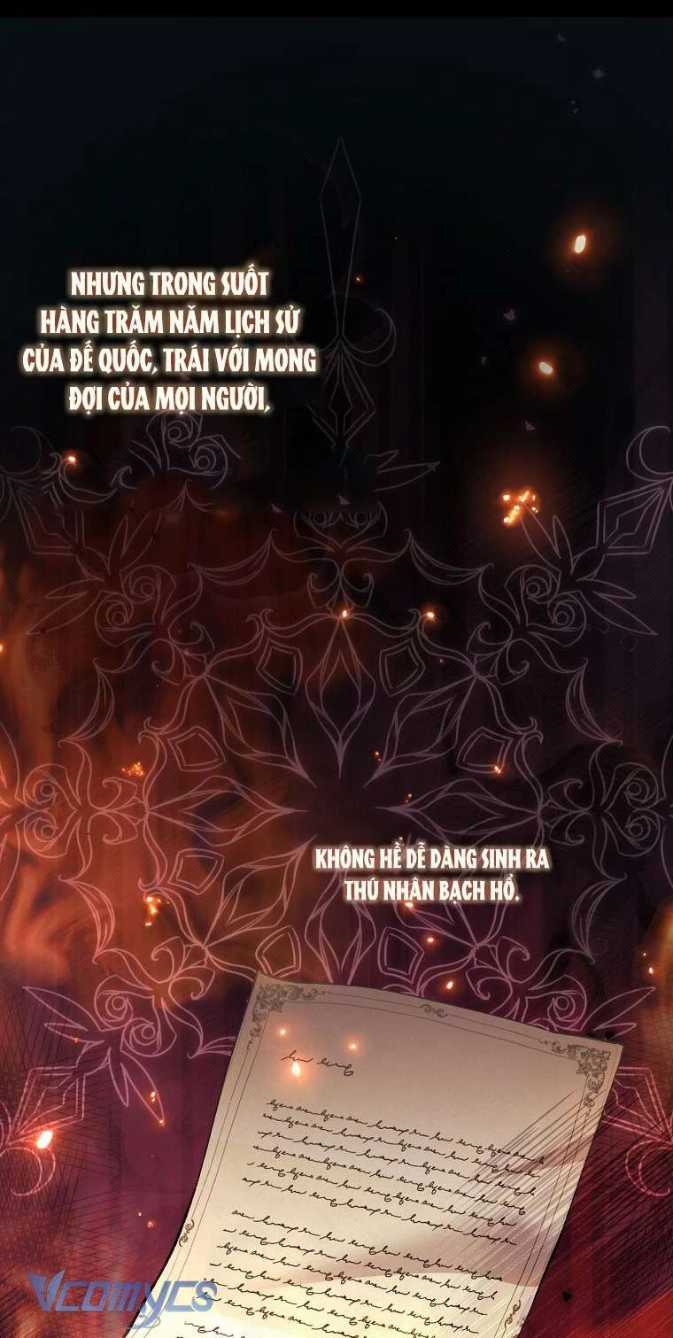 Công Chúa Bạch Hổ Không Có Nguy Hiểm Nha! Chapter 1 - 41