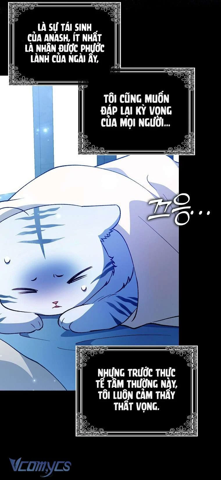 Công Chúa Bạch Hổ Không Có Nguy Hiểm Nha! Chapter 1 - 52