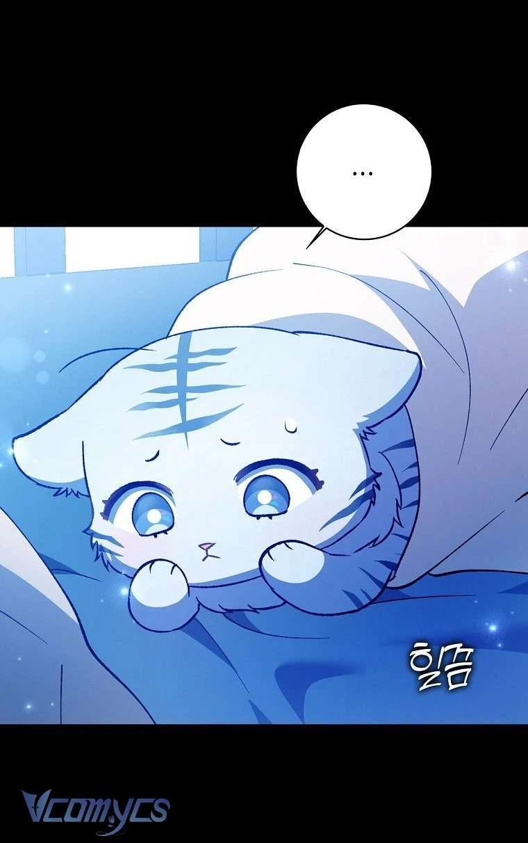 Công Chúa Bạch Hổ Không Có Nguy Hiểm Nha! Chapter 1 - 53