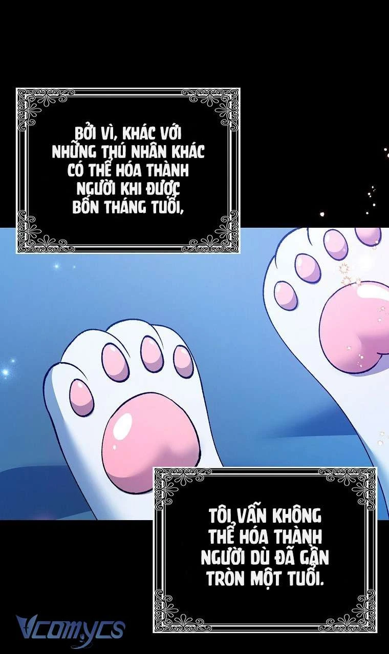 Công Chúa Bạch Hổ Không Có Nguy Hiểm Nha! Chapter 1 - 54