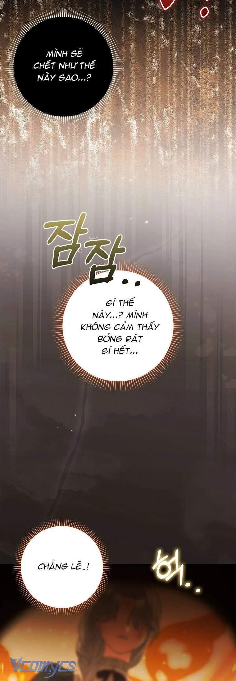 Công Chúa Bạch Hổ Không Có Nguy Hiểm Nha! Chapter 3 - 56