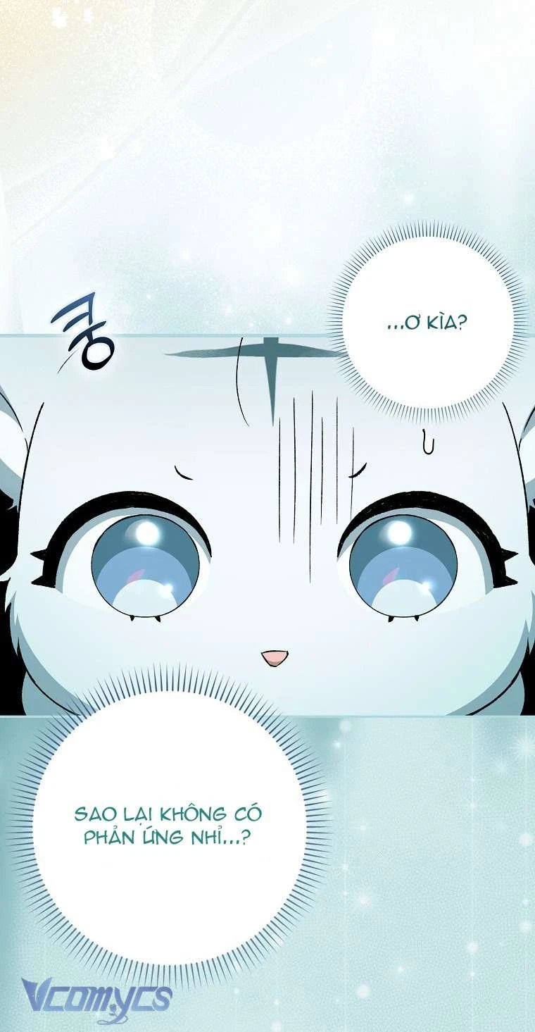 Công Chúa Bạch Hổ Không Có Nguy Hiểm Nha! Chapter 6 - 27