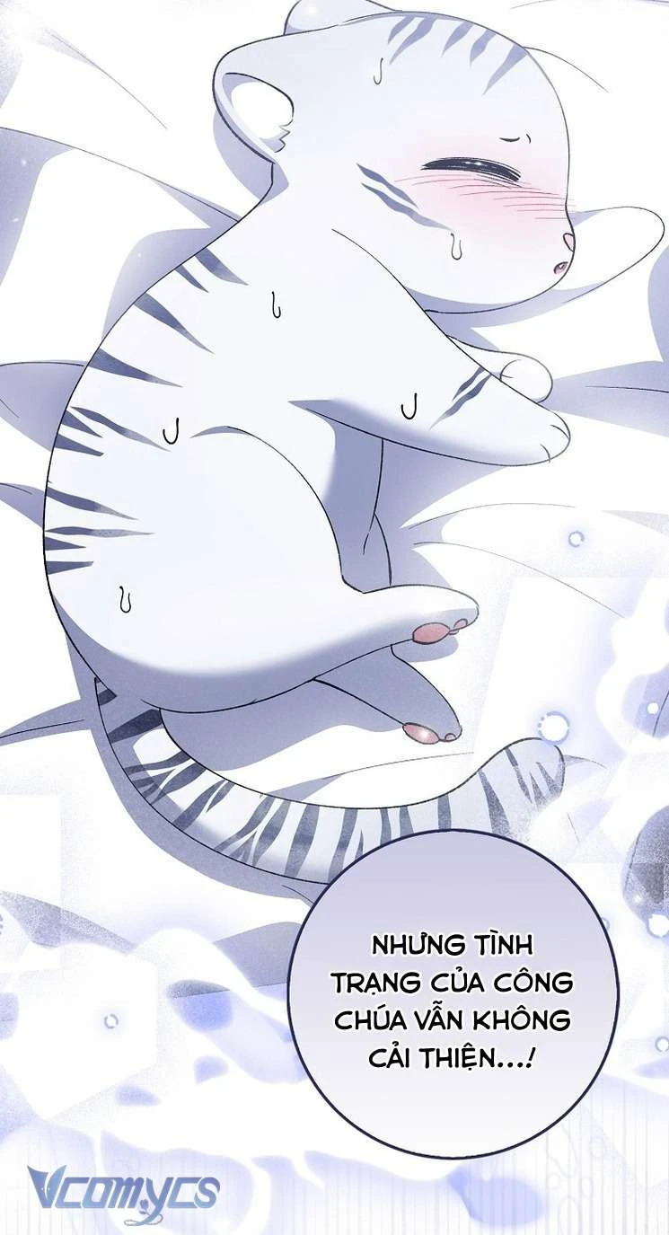 Công Chúa Bạch Hổ Không Có Nguy Hiểm Nha! Chapter 9 - 12