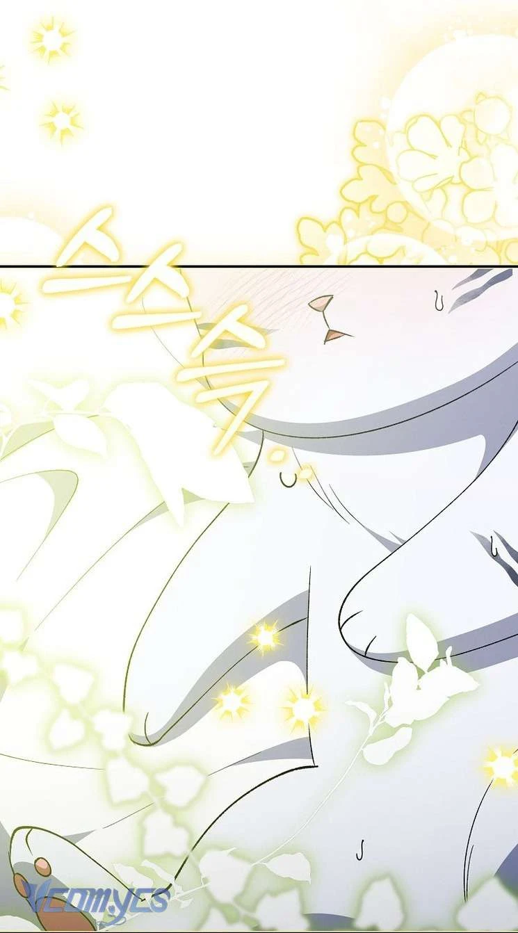 Công Chúa Bạch Hổ Không Có Nguy Hiểm Nha! Chapter 9 - 40