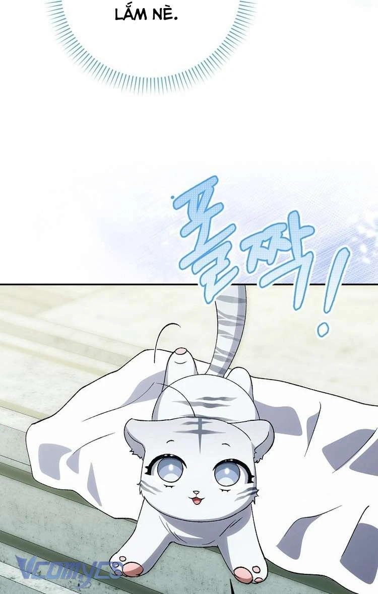 Công Chúa Bạch Hổ Không Có Nguy Hiểm Nha! Chapter 10 - 9