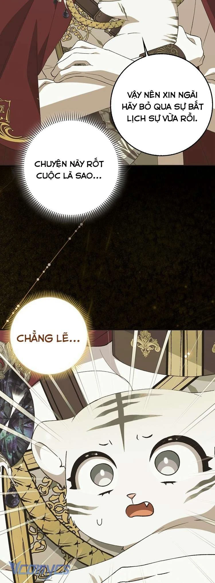 Công Chúa Bạch Hổ Không Có Nguy Hiểm Nha! Chapter 10 - 41