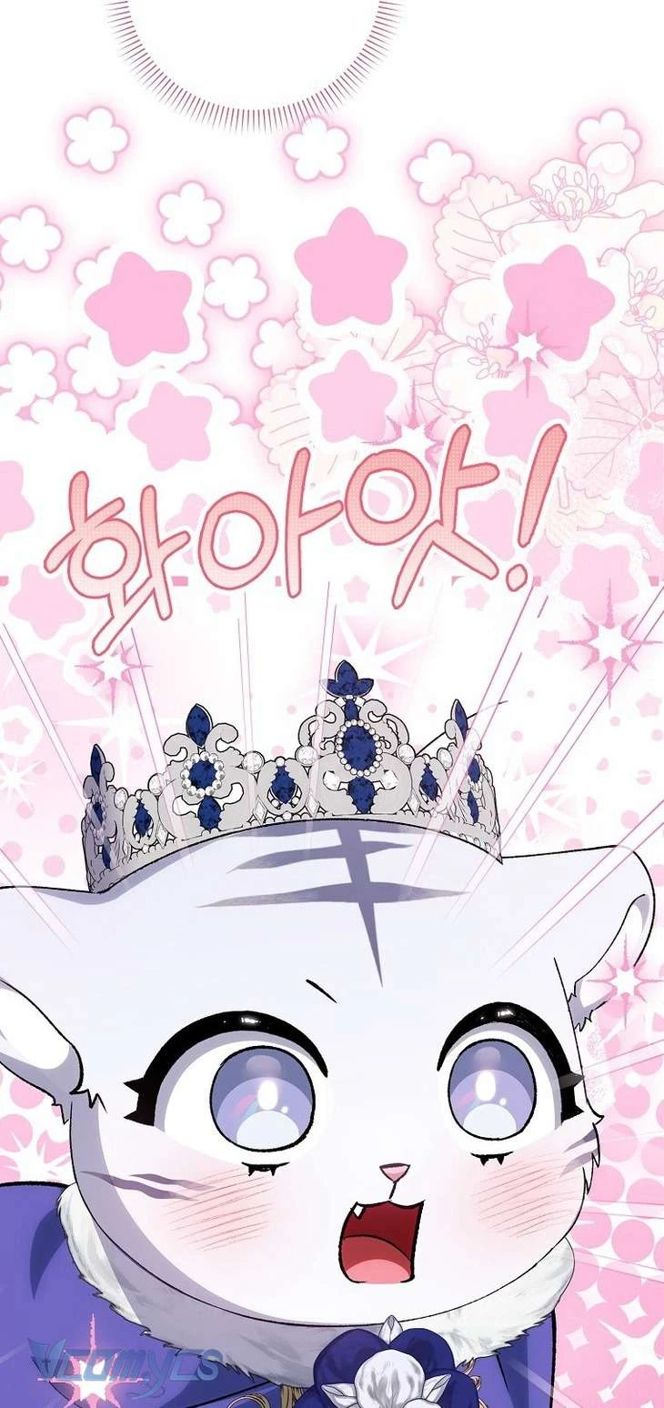 Công Chúa Bạch Hổ Không Có Nguy Hiểm Nha! Chapter 11 - 61