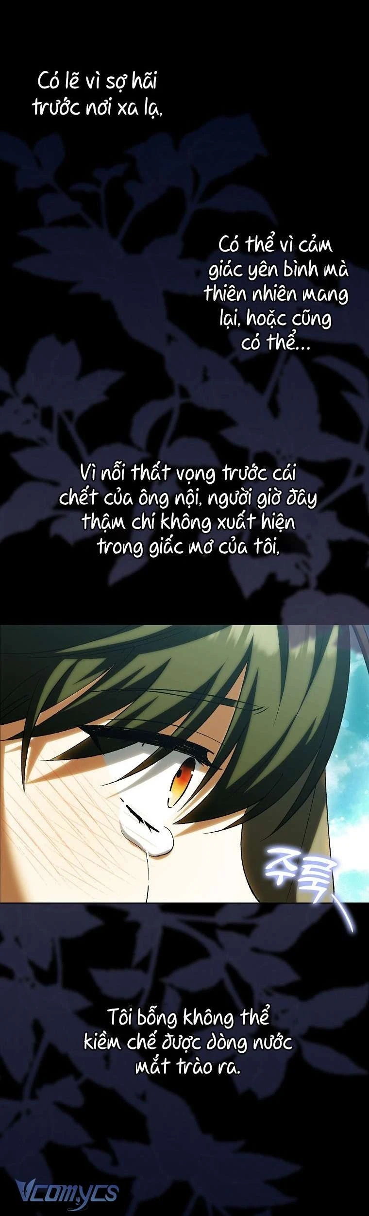 Công Chúa Bạch Hổ Không Có Nguy Hiểm Nha! Chapter 13 - 43