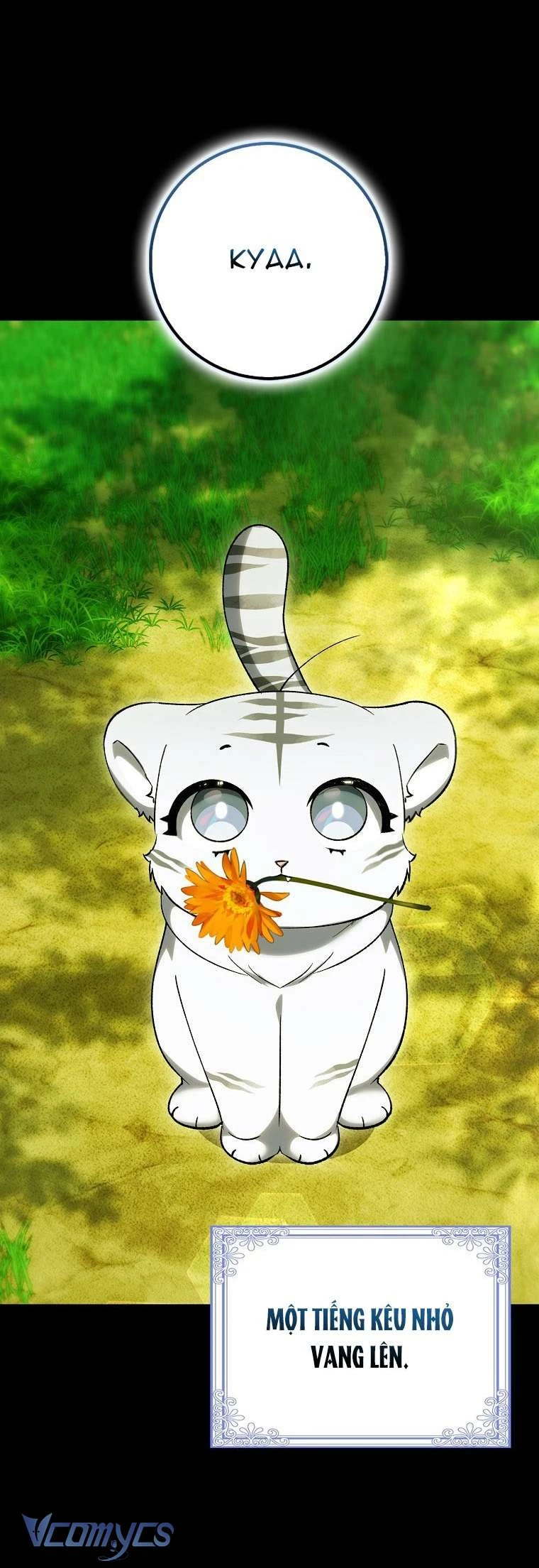 Công Chúa Bạch Hổ Không Có Nguy Hiểm Nha! Chapter 13 - 45