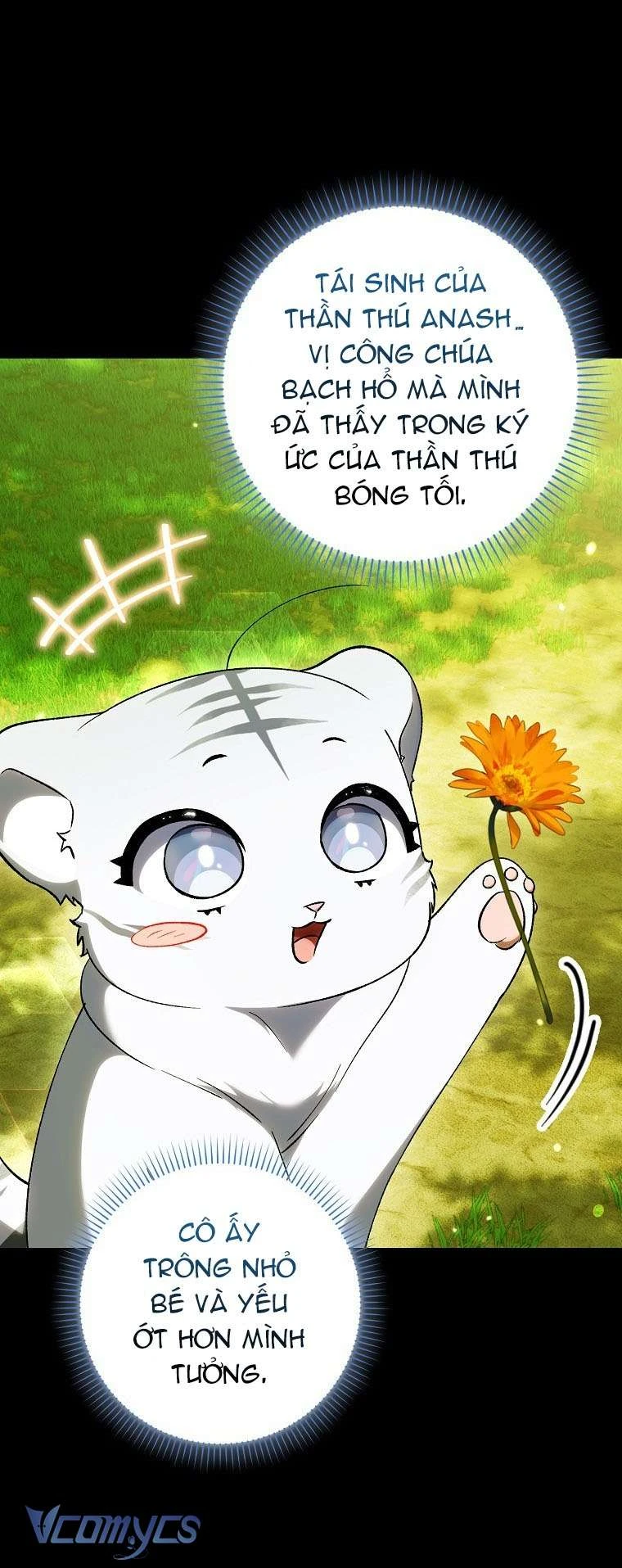 Công Chúa Bạch Hổ Không Có Nguy Hiểm Nha! Chapter 13 - 47