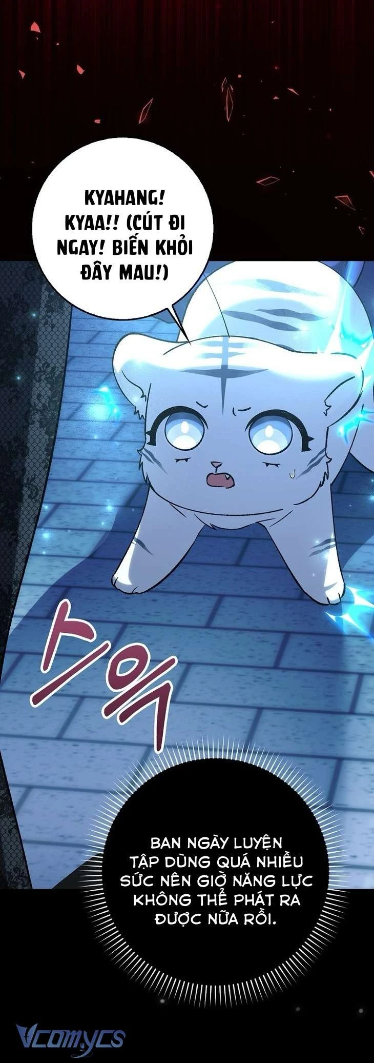 Công Chúa Bạch Hổ Không Có Nguy Hiểm Nha! Chapter 14 - 64