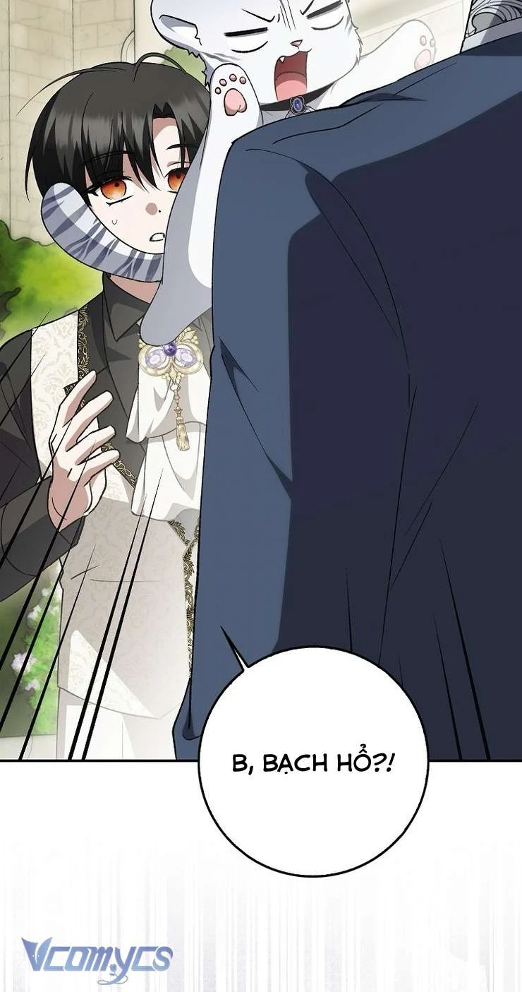 Công Chúa Bạch Hổ Không Có Nguy Hiểm Nha! Chapter 17 - 33