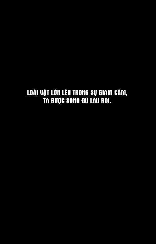 Hỏa Phụng Liêu Nguyên Chapter 256 - 22