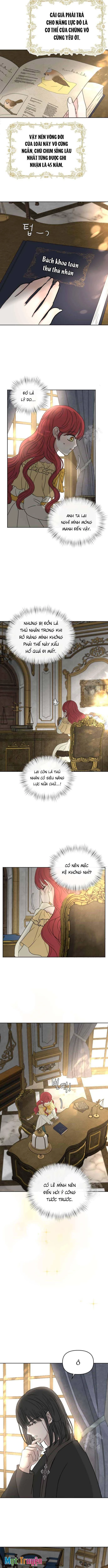 Tôi nhận nuôi nam chính từ nhà tù Chapter  28 - 3