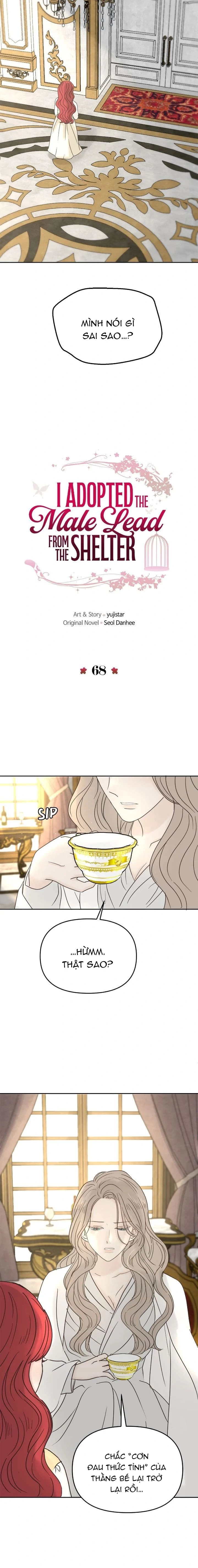 Tôi nhận nuôi nam chính từ nhà tù Chapter  68 - 6