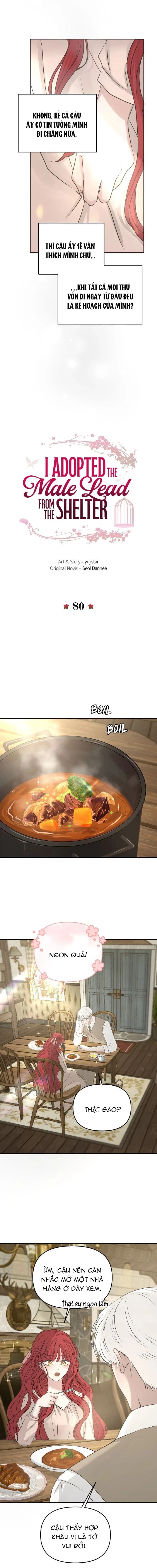 Tôi nhận nuôi nam chính từ nhà tù Chapter 80 - 3